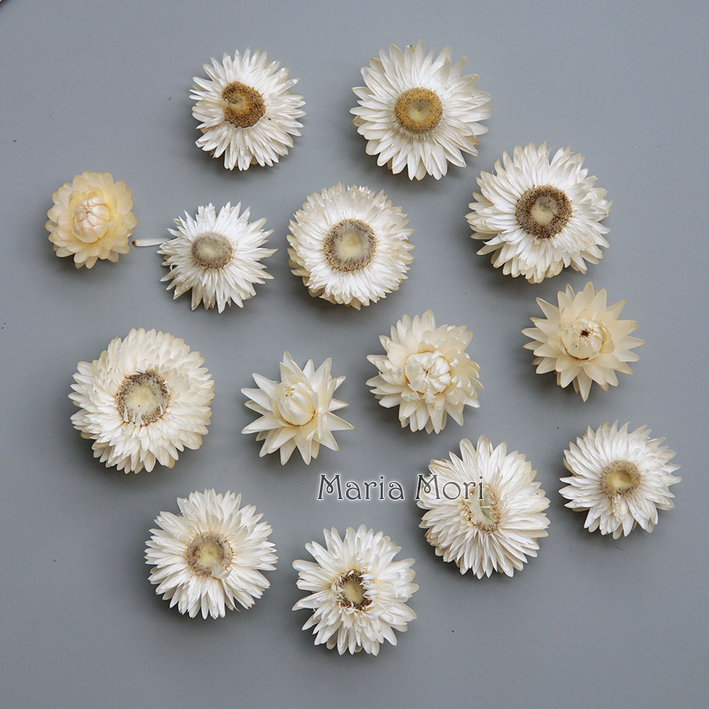 Candle Making Los Angeles - Natuurlijke Gedroogde Kleurrijke Chrysanthemum Krans Handgemaakte
