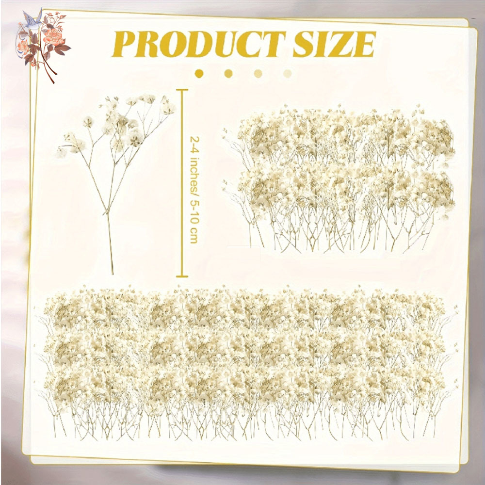Mini Gedroogde Gypsophila Bloe - Candle Making Los Angeles recensie en prijs